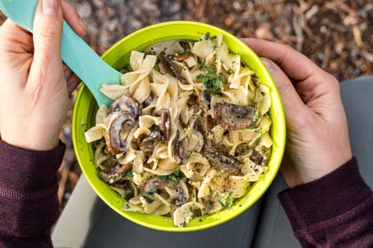 Overhead view of a bowl of mushroom stroganoff