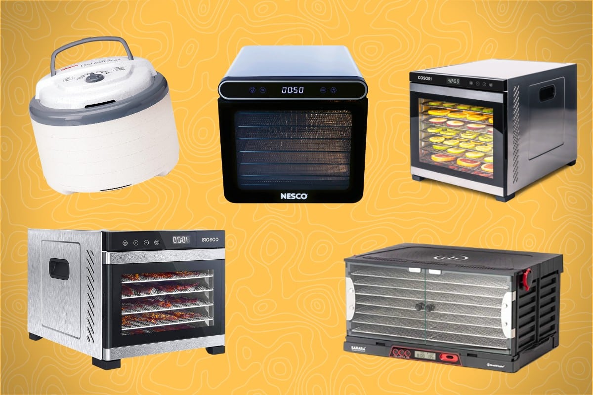 Graphic depicting the five best dehydrators