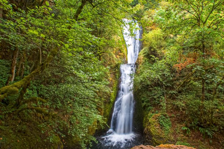 Bridal Veil Falls with leafy trees on either side