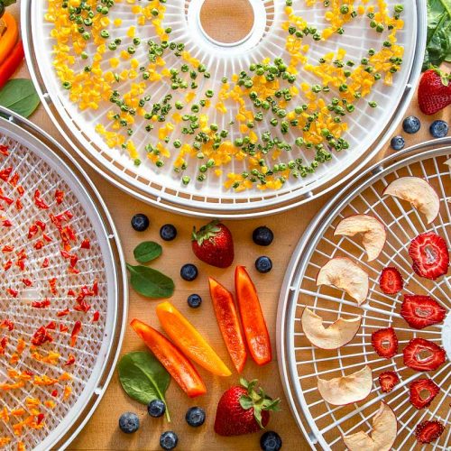 Colorful dehydrated fruit and vegetables with fresh fruit around