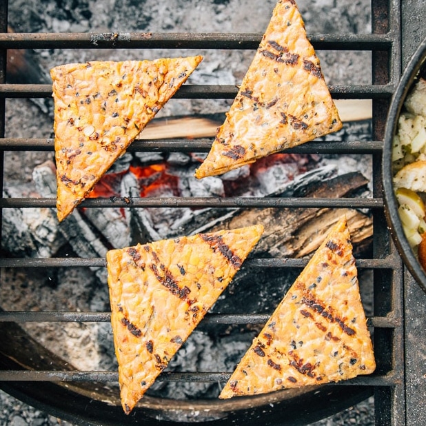 Four triangle pieces of tempeh on a campfire grill