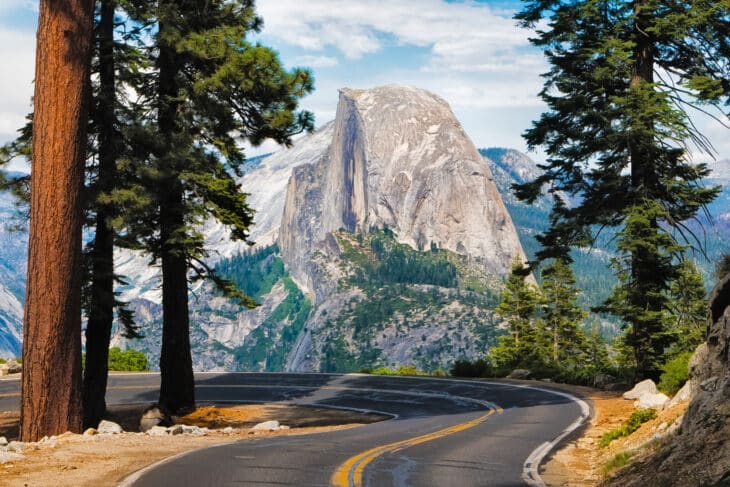 A winding road curves through a forest of tall pine trees with a view of Half Dome.