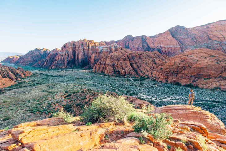 Michael standing on a rock outcropping looking into snow canyon